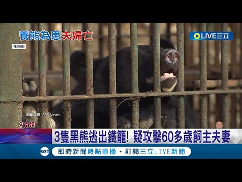 人家是養老鼠咬布袋.你是養熊咬死人! 南韓農場夫妻疑遇熊襲雙亡 3隻黑熊逃出鐵籠 疑攻擊60多歲飼主夫妻│【國際大現場】20221209│三立新聞台