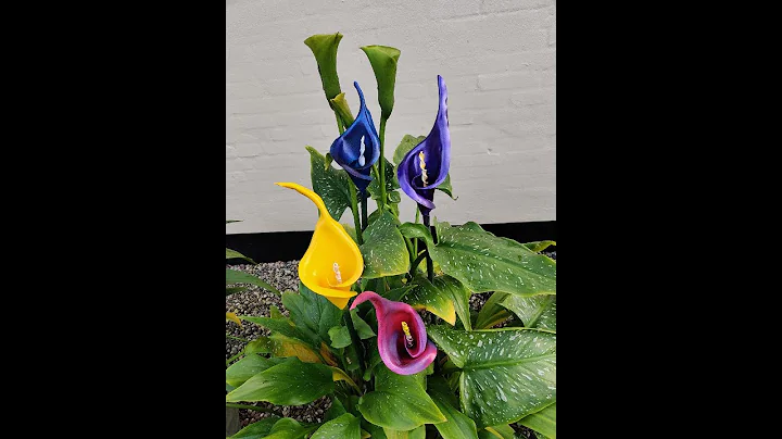 DIY Beautiful calla lily out of pvc pipes