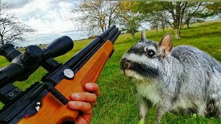 TERRIBLES TIROS!! Con este rifle no fallas, cocina de vizcacha en empanadas