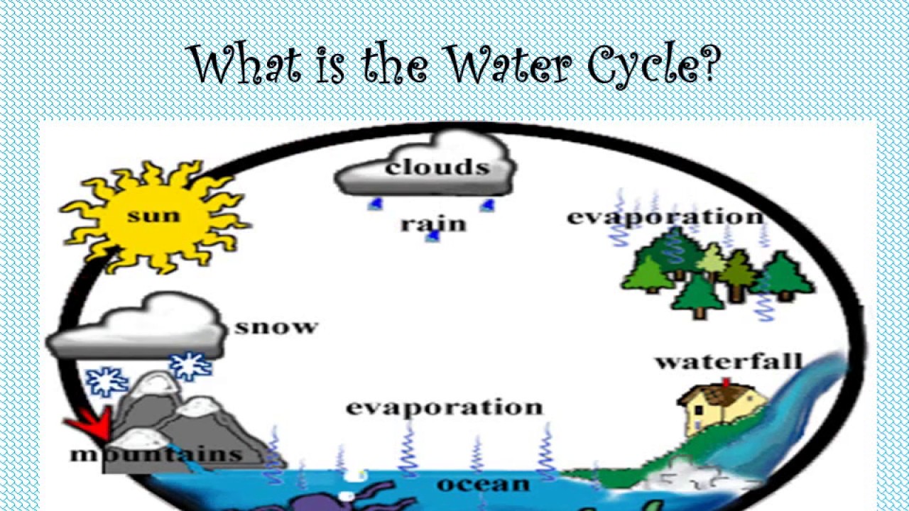The Water Cycle Science Grade 2 And 3 The Stepping Stone Kids Youtube