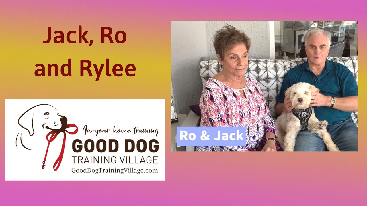 Dog Training in The Villages for Owners and Dogs YouTube