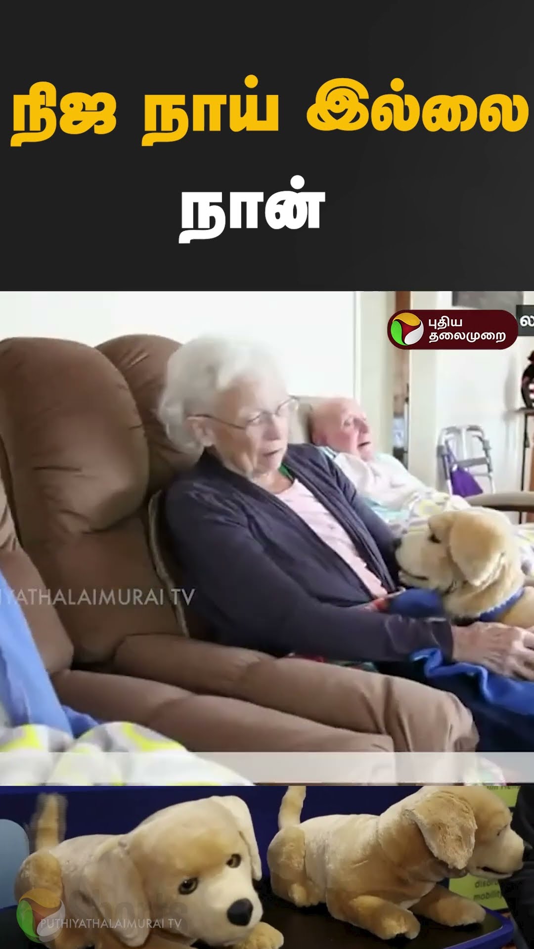 நிஜ நாய் இல்லை நான் #shorts #Robot #dog