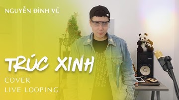 TRÚC XINH | NGUYỄN ĐÌNH VŨ | MINH VƯƠNG M4U x VIỆT | LIVE LOOPING | COVER
