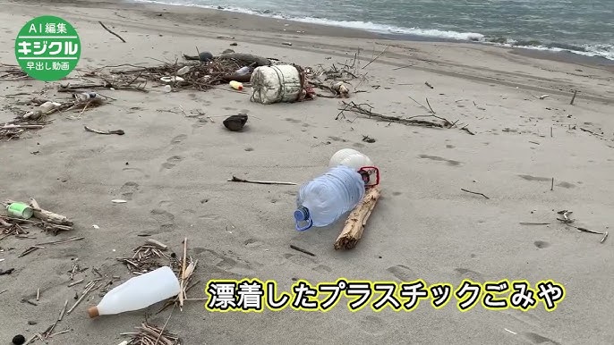 海岸　学生 