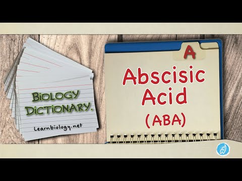 Video: Kurią funkcinę grupę, jūsų nuomone, sudaro abscisinės rūgšties ABA) dalis?