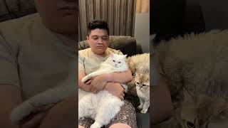 Download Lagu Permisi, mau ikutan tren sound horeg edi sound 📢 MP3