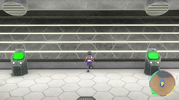 ポケモンSV アイテム増殖バグ 自動