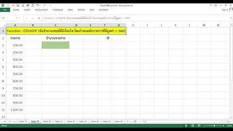การใช้งาน_Excel_Case_19_การใช้ Function Countif (การนับจำนวนเซลล์ที่มีเงื่อนไข)