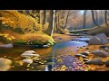 Calming BABBLING BROOK sounds in Autumn forest ambience, 10 hours nature sounds for sleeping