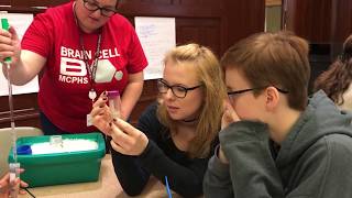 Public Health Summer Immersion at MCPHS (2017)