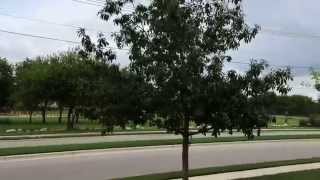 iPhone 6 video sample. (720p)