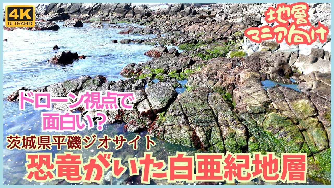 地層マニア向け ドローンで8000万年頃前の白亜紀地層の上をフライト（茨城県平磯ジオサイト） 恐竜やアンモナイトがいた時代に思いを馳せてみる ...