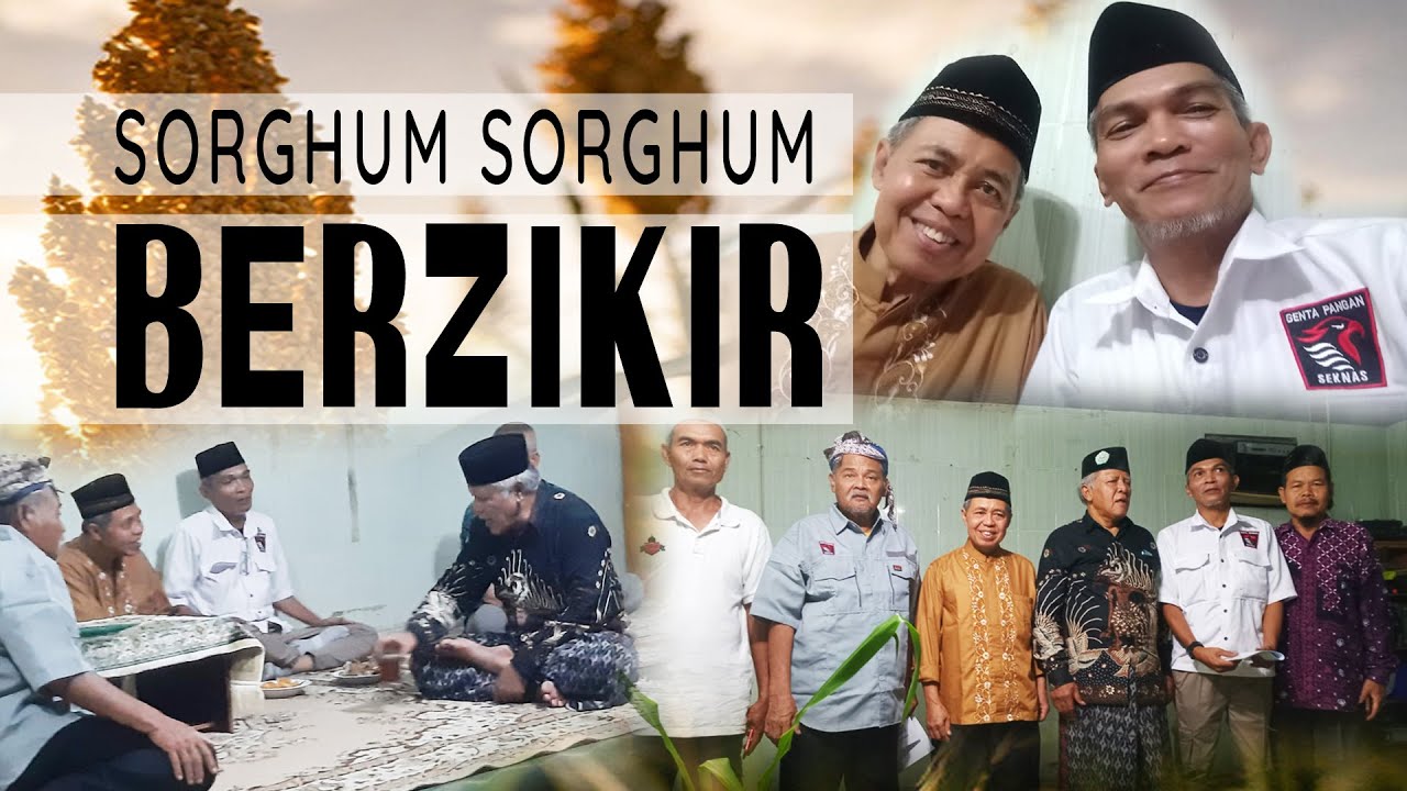 Sorghum Sorghum Berzikir