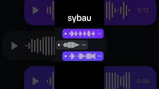 Celebrity #sybau Profile
