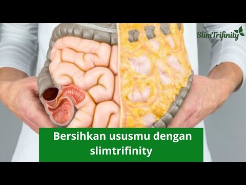 Hobi Makan Kuliner Perut Rata Berat Badan Stabil Usus Bersih Revew Slimtrifinity