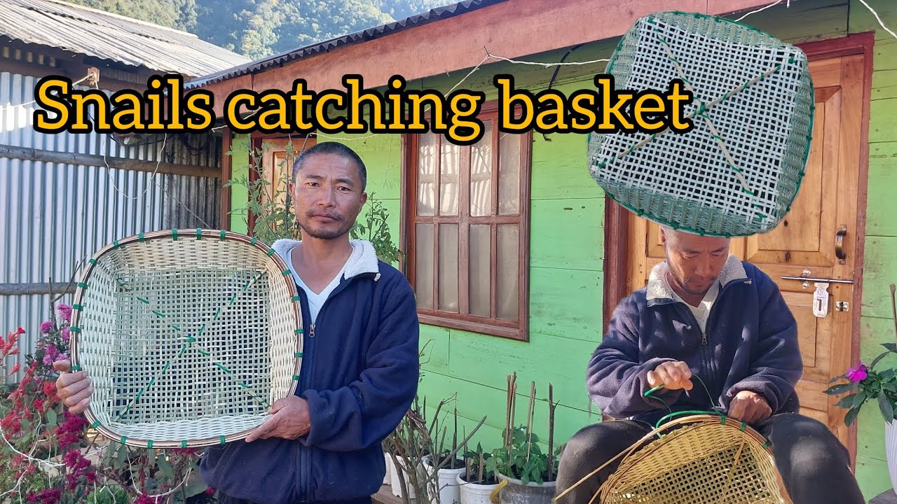Snails catching basket 