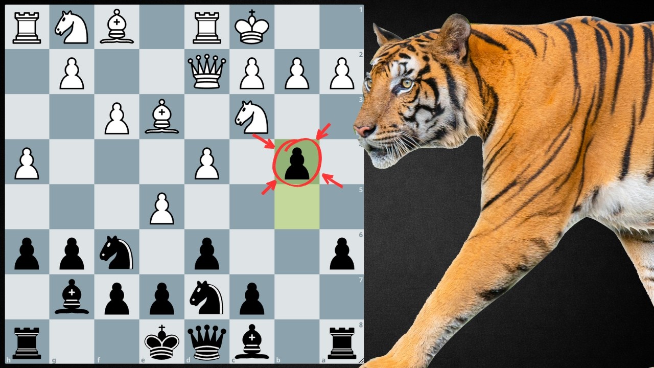 Современная защита Тайгера Хилларпа Перссона: объяснение | Агрессивный шахматный дебют Тайгера Хи...