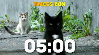 🐾 "Adorable Kittens Countdown! 5-Minute Timer Perfect for Your Classroom 🐱📚"  💕 Profile