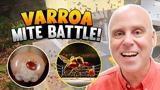 Varroa Mite Wars: How to Save Our Honey Bees