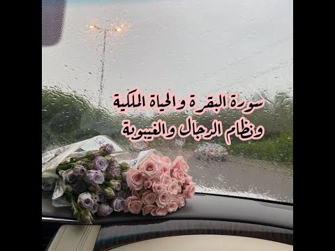 سورة البقرة والحياة الملكيه نظام الدجال والغيبوبة وحياة الذل