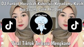 Download Lagu DJ FUNKOT HARUSKAH KU BERLARI KEPADAMU KASIH | DJ AYO SAYANG CULIK AKU DONG VIRAL TIKTOK MP3
