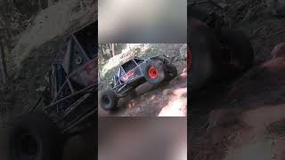 WHICH ROCKBOUNCER DID IT BEST!
