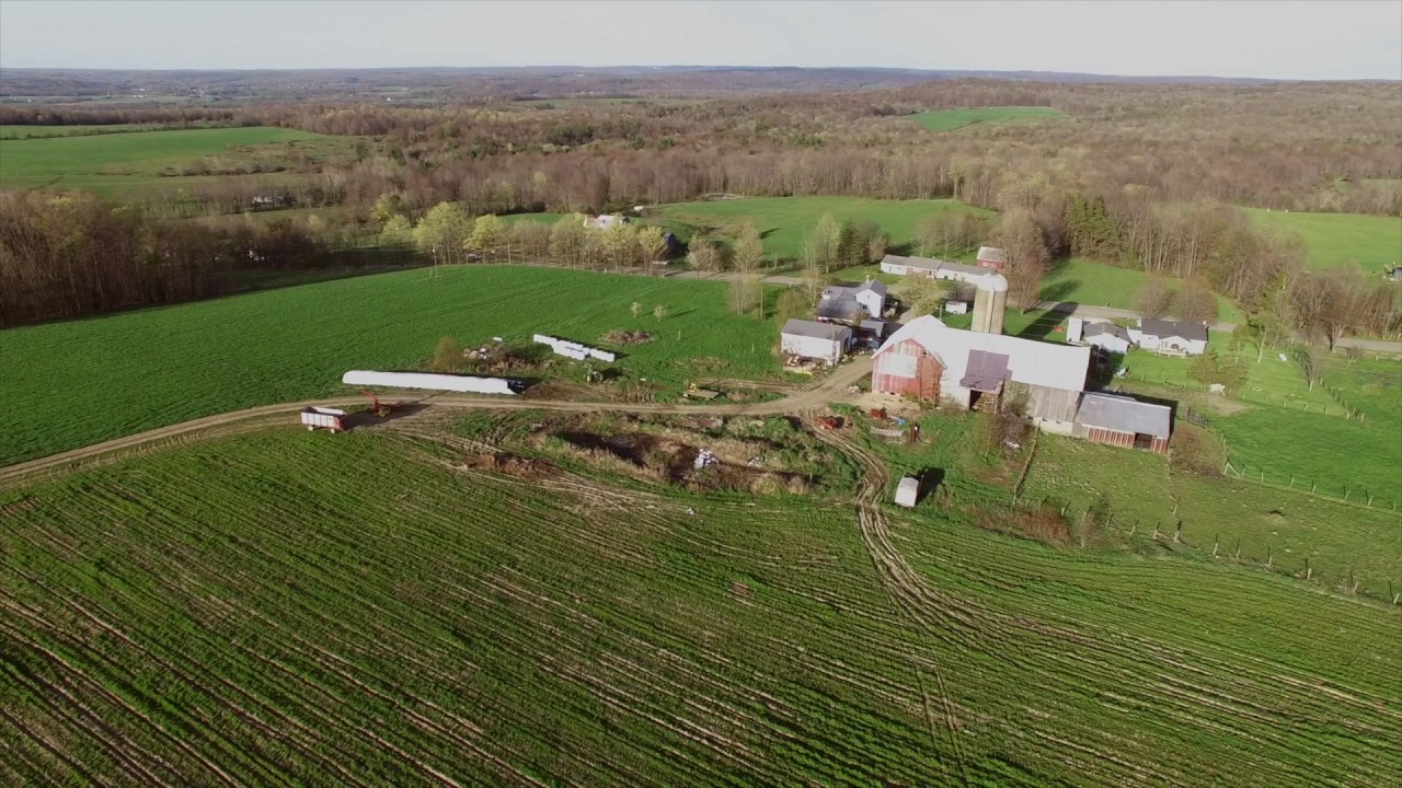 Lindsey Hollow Farm YouTube