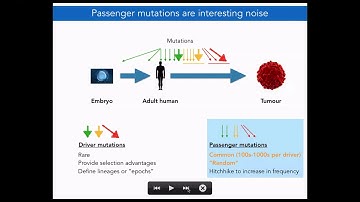 Keynote 3: Reading the fossil record of a cancer - Quaid Morris - Keynotes - GLBIO 2019