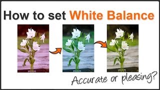 How To Set White Balance - Mike Browne screenshot 5