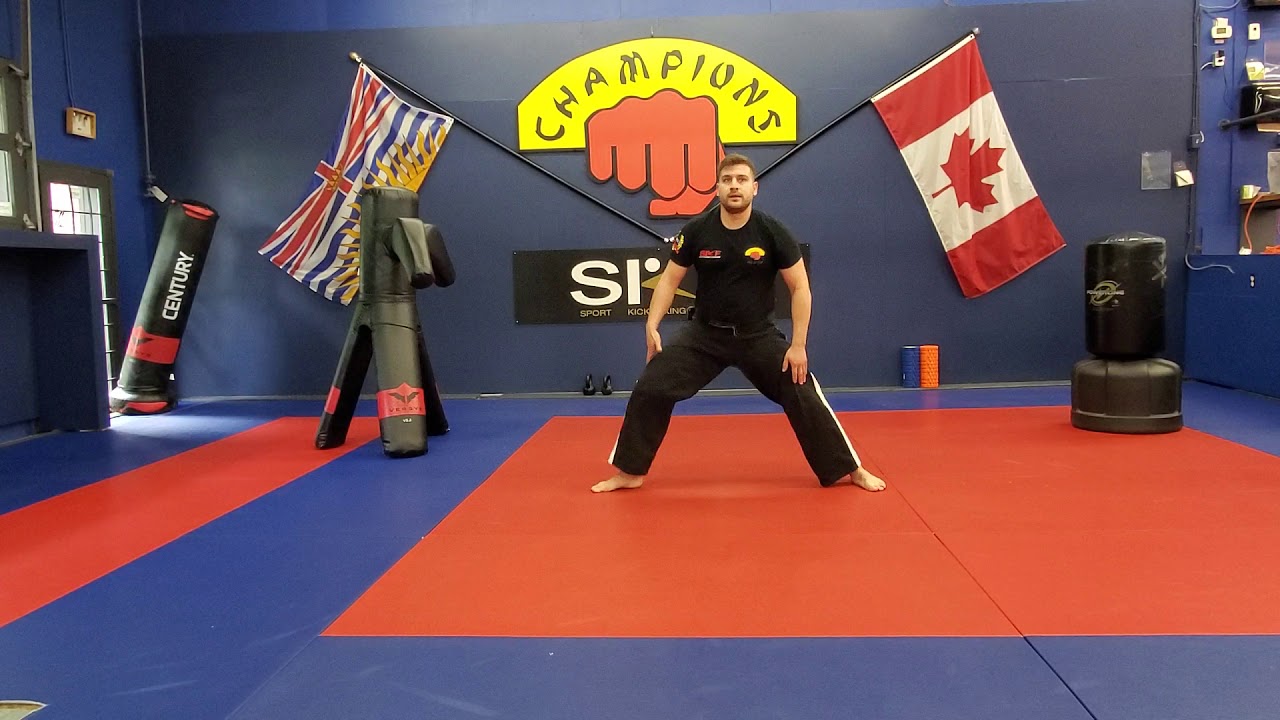 Champions Martial Arts Academy Live class May 14th 2020
