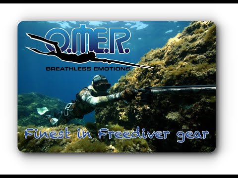 Looking for freediving