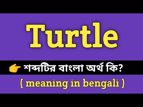 ভিডিও: কচ্ছপ মানে কি?