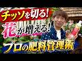 【花をたくさん咲かせる】プロが実践する肥料管理術!【ハイポネックス】【リキダス】