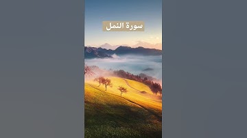 سورة النمل - الشيخ أحمد العجمي