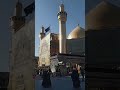 مدد مولاي نصيح جبير السادة عباس عجيد العامري Abbas Alameri Explore اكسبلور Shorts 