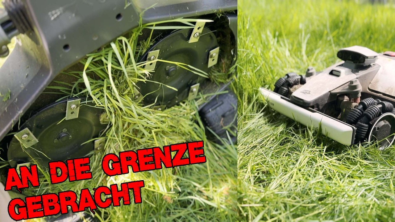 Die Luba´s an die Grenze gebracht - Luba 2 gegen Luba Mini Vergleich im Extremtest