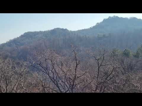 올인방송&amp;#39;<strong>s</strong> 주사파보다 더 위해로운 사탄파(2023/02/<strong>27</strong>)(후원: 농협 333053-51-072090 조영환)
