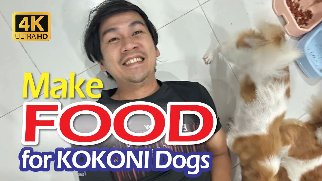 Приготовьте ЕДУ для собак КОКОНИ