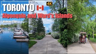 Toronto 🇨🇦 Algonquin & Ward's Islands, Toronto Islands Summer Scenic Walk, Canada | 4K #318