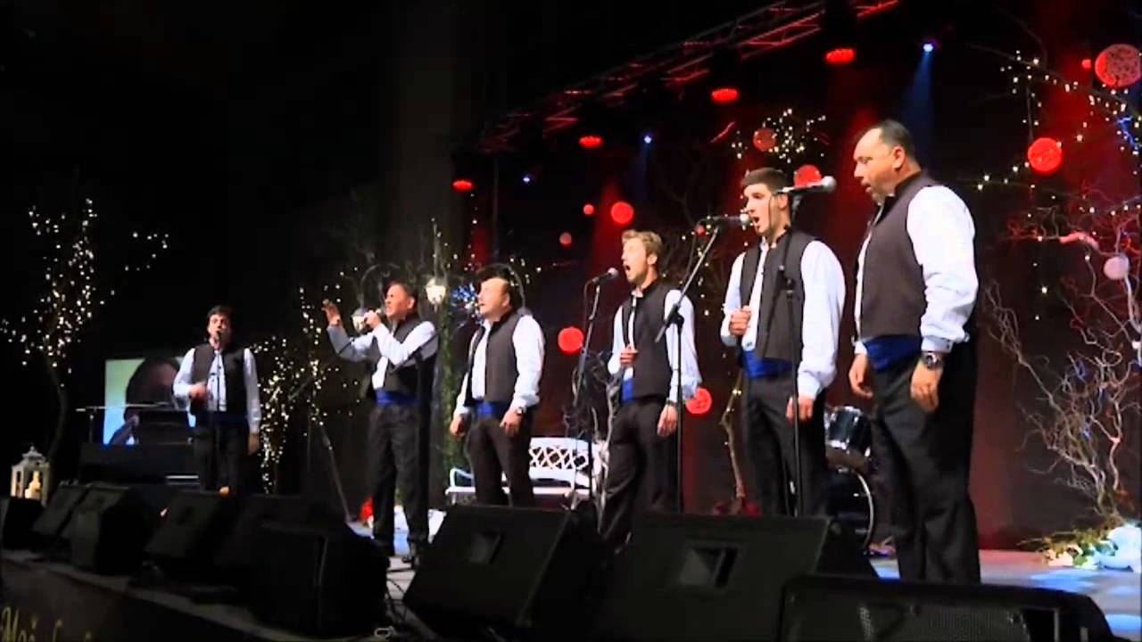 Klapa Puntamika - Lipa i divlja (MGNZ 2014)