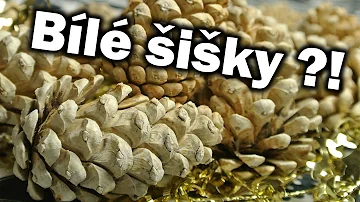 Jaké jsou vybělené šišky?