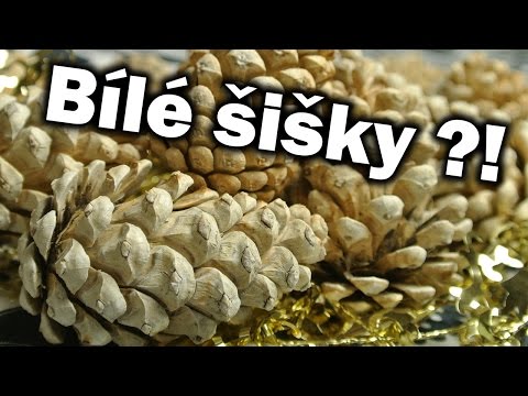 Video: Jak Udělat Jam šišky