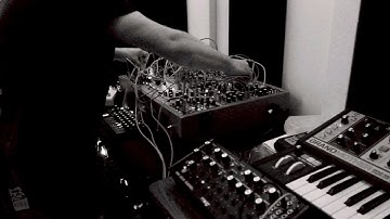 Live Eurorack west coast experimental jam with Moog DFAM, Instruo CS-L, and Basimilus Iteritas Alter