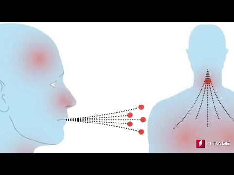 ვიდეო: როგორ ხდება ვირუსების სკანირება ოპერაციული სისტემის დაბლოკვის შემთხვევაში