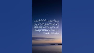 حتى إذا بلغ اشده وبلغ اربعين سنة | سورة الأحقاف آية ١٥ | 💙.