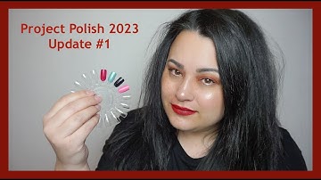 Project Polish 2023 - Update #1