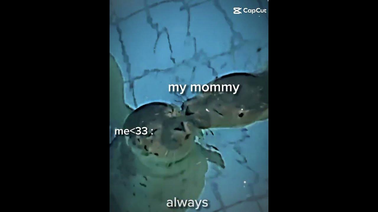 my mommy kiss me YouTube