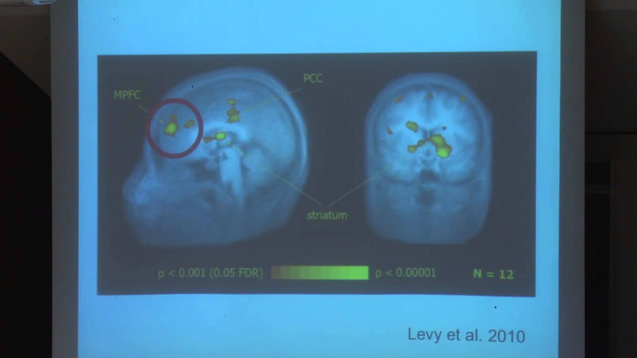 Waterloo Brain Day Lectures 2013: Paul Glimcher (New York University)