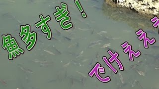【釣り前半】１００均だけで揃えた物で釣り対決【手作り】