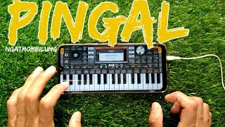 PINGAL - COVER ORG 2022